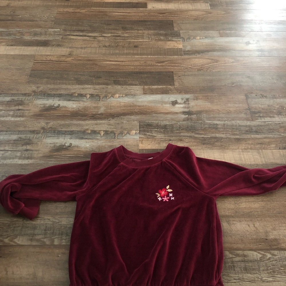 Burgundy Velvet Sweatshirt with Floral Embroidery